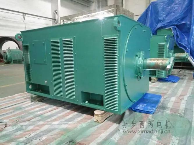 西瑪電機(jī)Y5603-10 560KW <a href=http://www.xianpintang.com/new/new-47-621.html target='_blank'><a href=http://www.xianpintang.com/new_tags_225.html target='_blank'>10kv高壓電機(jī)</a></a>